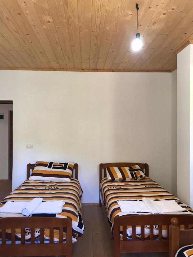 Elvis Blini Thethi Hotel ภายนอก รูปภาพ