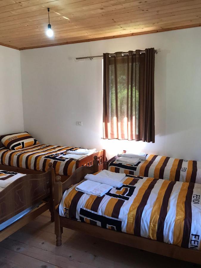 Elvis Blini Thethi Hotel ภายนอก รูปภาพ