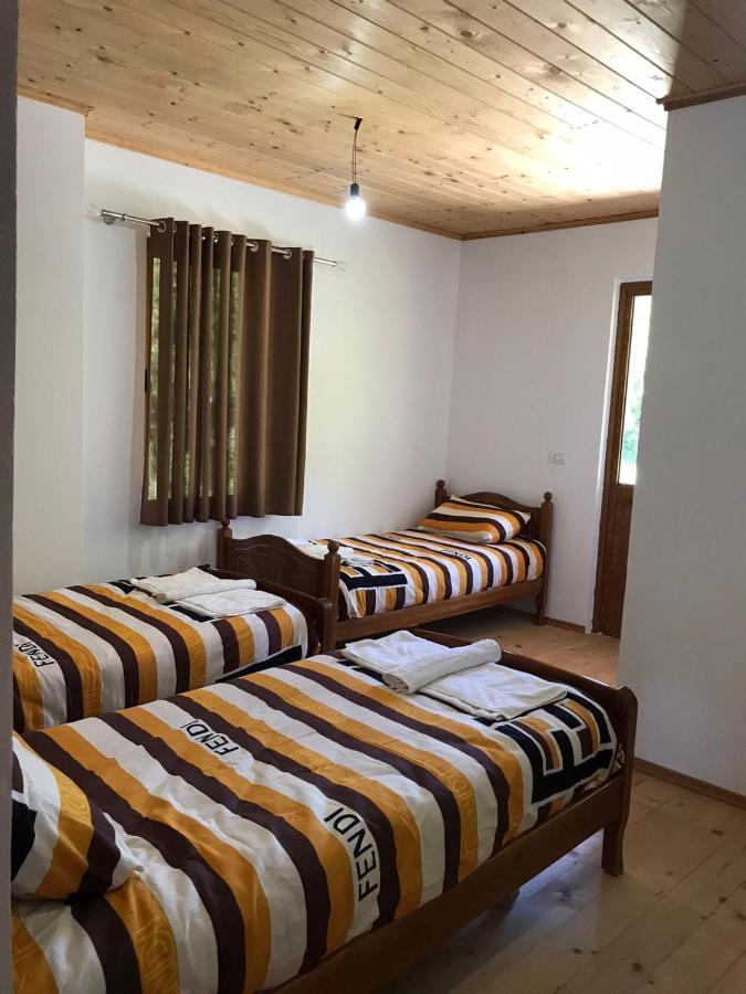 Elvis Blini Thethi Hotel ภายนอก รูปภาพ