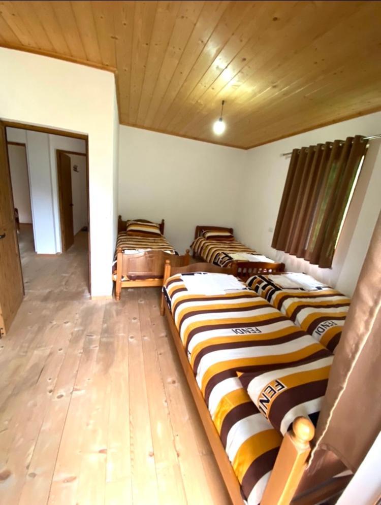Elvis Blini Thethi Hotel ภายนอก รูปภาพ